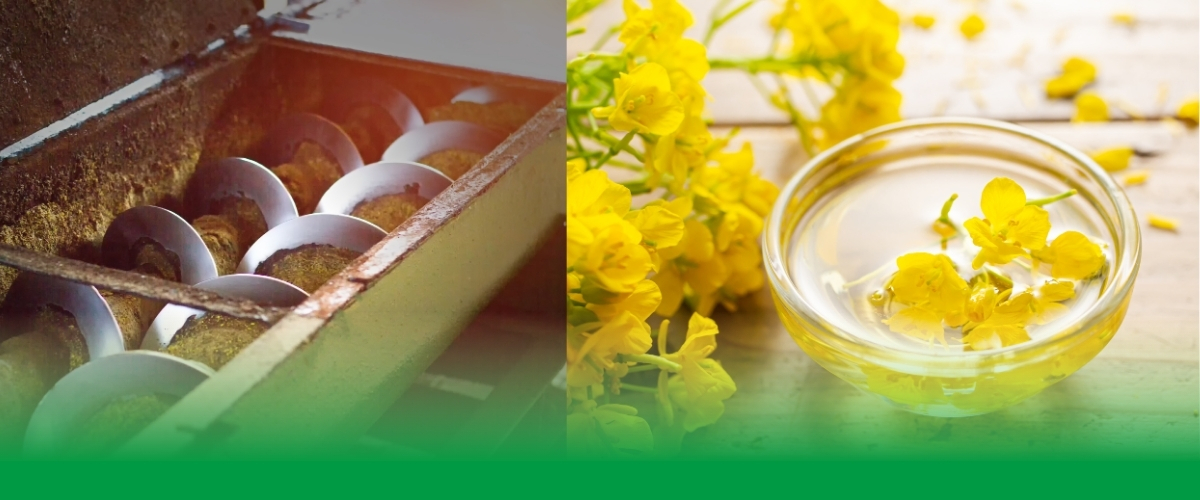 PHERAPE APVV projekt