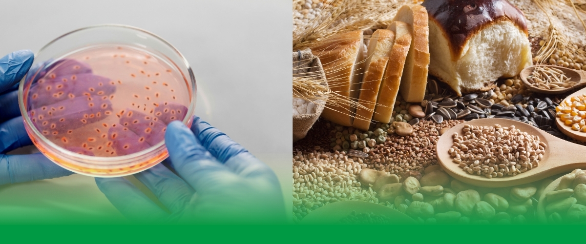 SUSPROCER APVV projekt